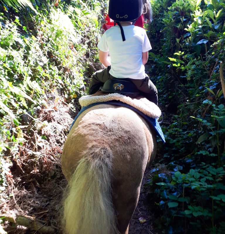 Horse Riding Cornwall