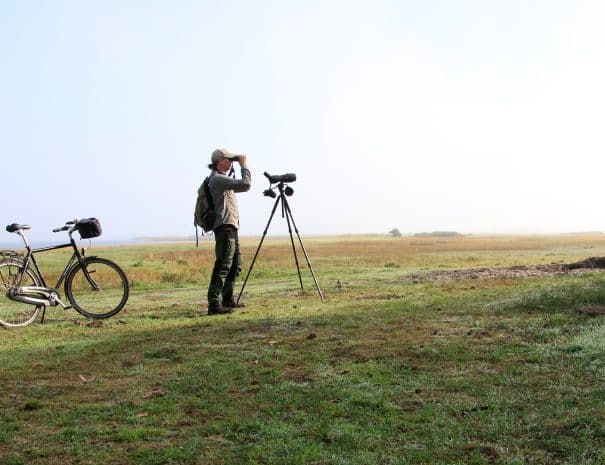 Bike Birding Ulvshale