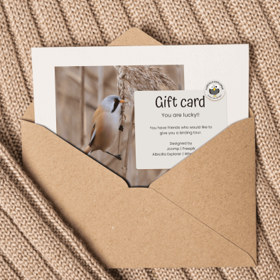 Gift card - Why Not Birds