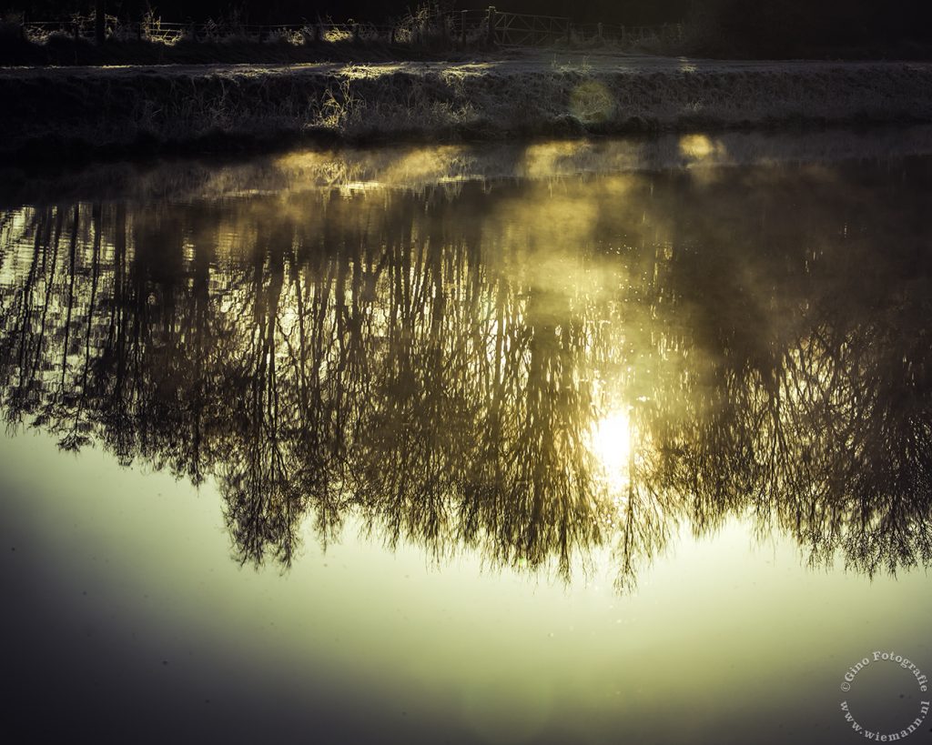 Natuurfotografie - © Gino Wiemann