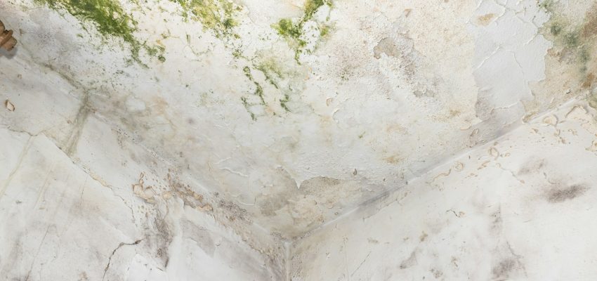 Ceiling with mold