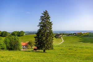 Ferienwohnung-Wieserhof-Urlaub-Chiemgau-Chiemsee-Kampenwand