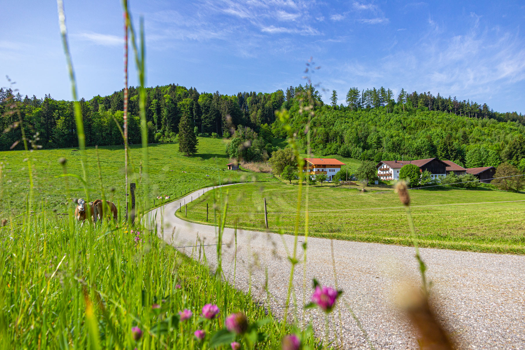 Ferienwohnung-Wieserhof-Urlaub-Chiemgau-Chiemsee-Kampenwand