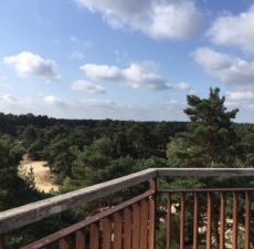 Natuurrijke wandeltocht rond Nieuw Milligen