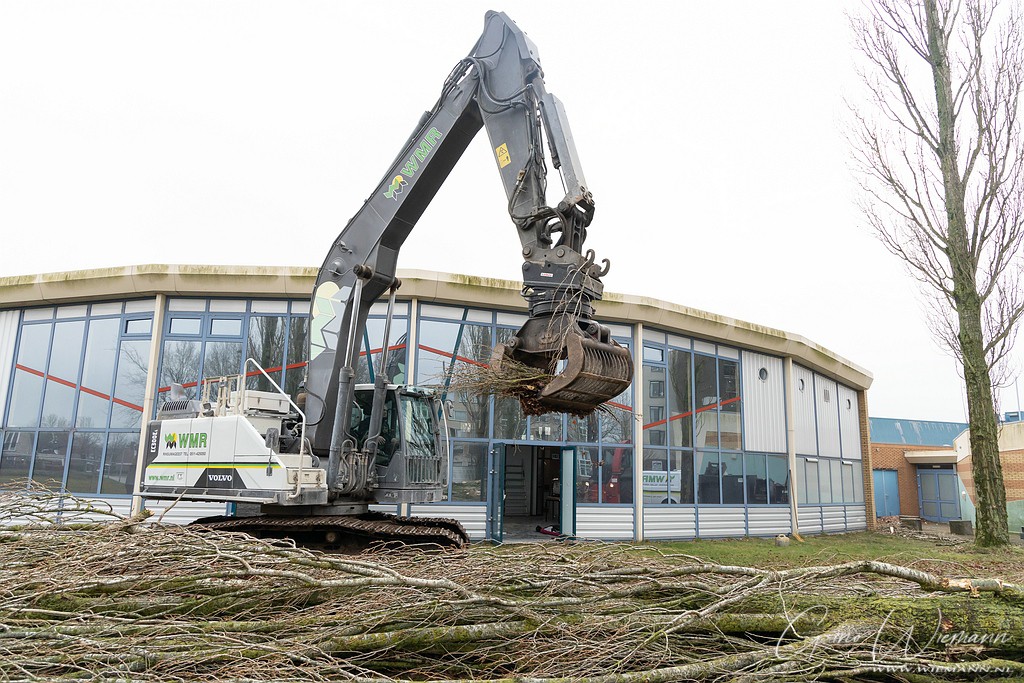 Bomen kappen bij De Dissel 13 januari 2020