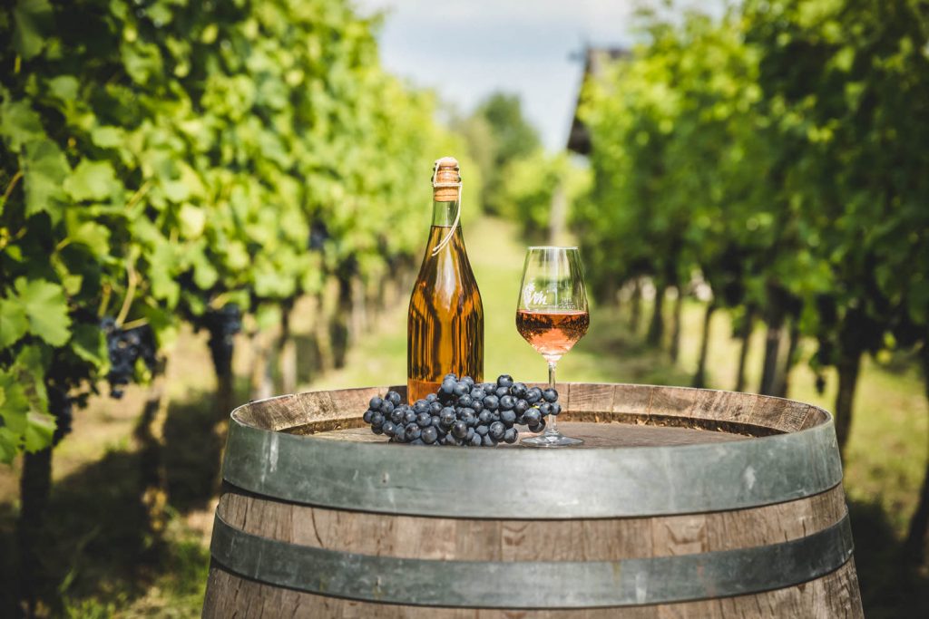 Activiteiten-Wijngoed-Montferland-Kwaliteitswijn-van-Achterhoekse-bodem