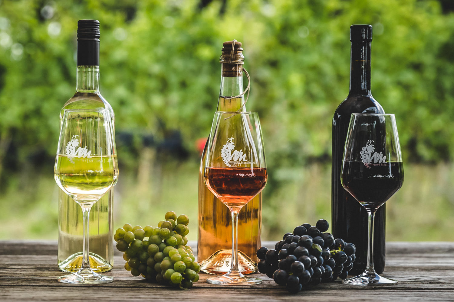 home-Wijngoed-Montferland-Kwaliteitswijn-van-Achterhoekse-bodem-rondleiding