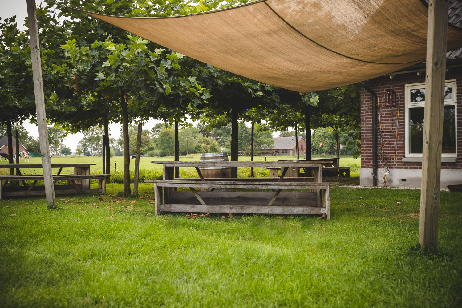 Wijngoed-Montferland-Kwaliteitswijn-van-Achterhoekse-bodem