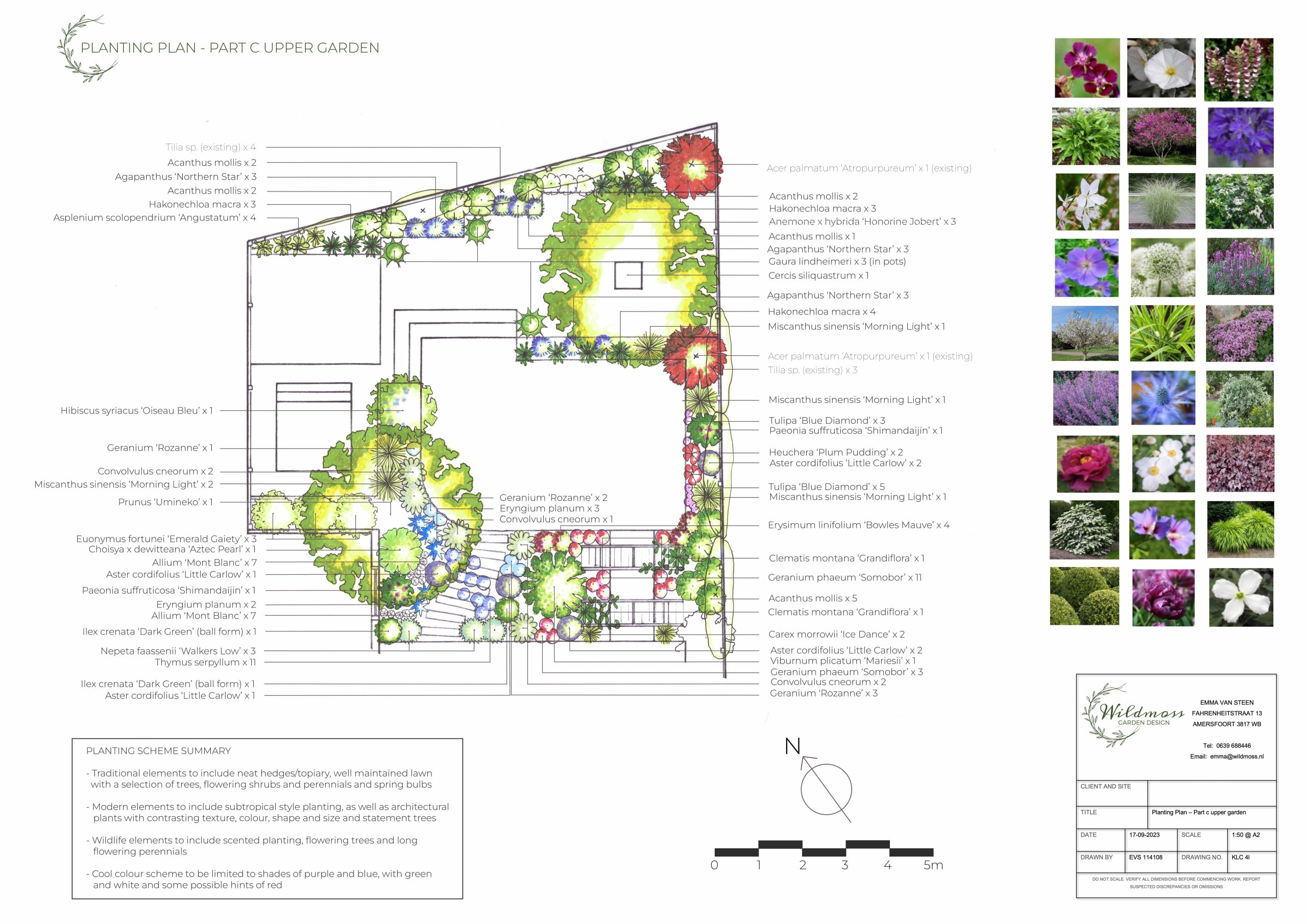 Project 4. Planting Plan C