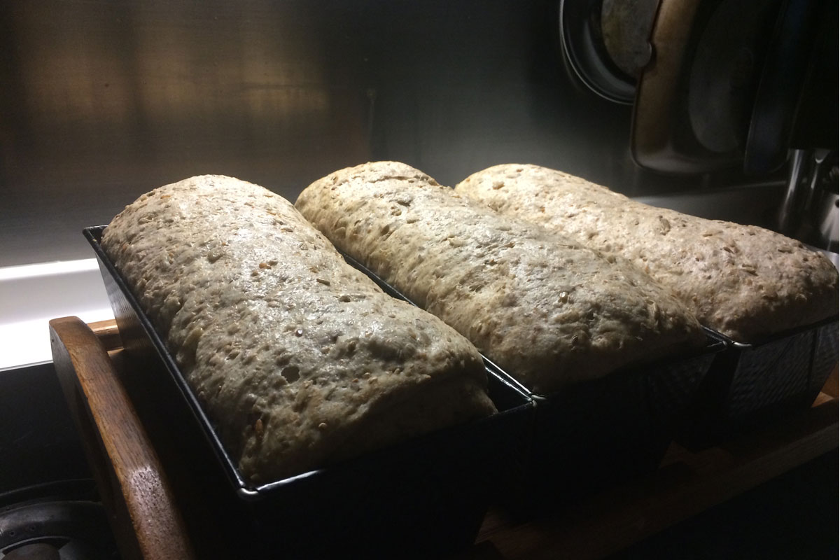 https://usercontent.one/wp/www.wilfriedscooking.com/wp-content/uploads/2019/04/bread-in-oven-.jpg