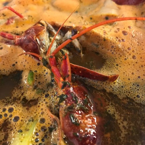 Crayfish broth ©️ Nel Brouwer-van den Bergh