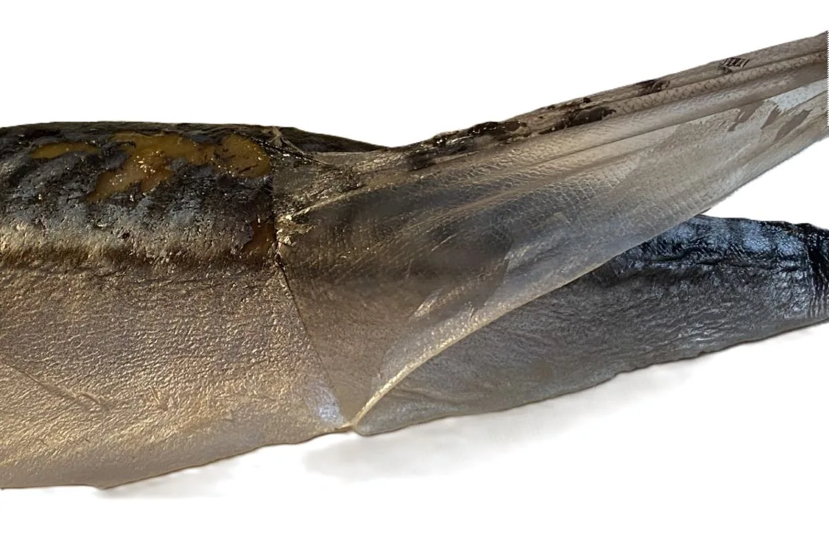 mackerel tartar ©️ Nel Brouwer-van den Bergh