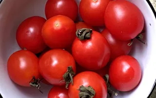 tomato soup ©️ Nel Brouwer-van den Bergh
