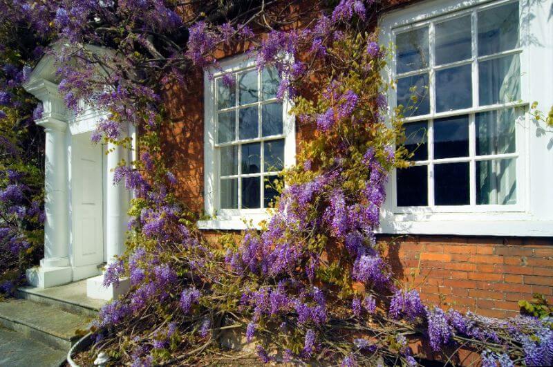 Sash Windows