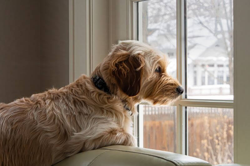 Say Goodbye to Noise Pollution with Double Glazing