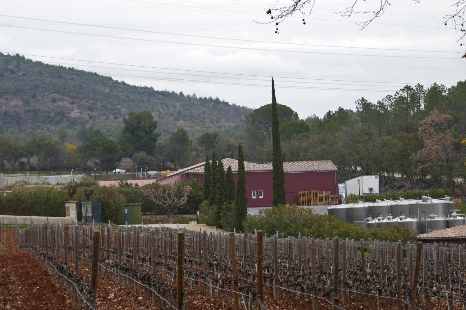 IS ROSÉ A SERIOUS WINE? LVMH INVESTMENT IN CHÂTEAU D'ESCLANS