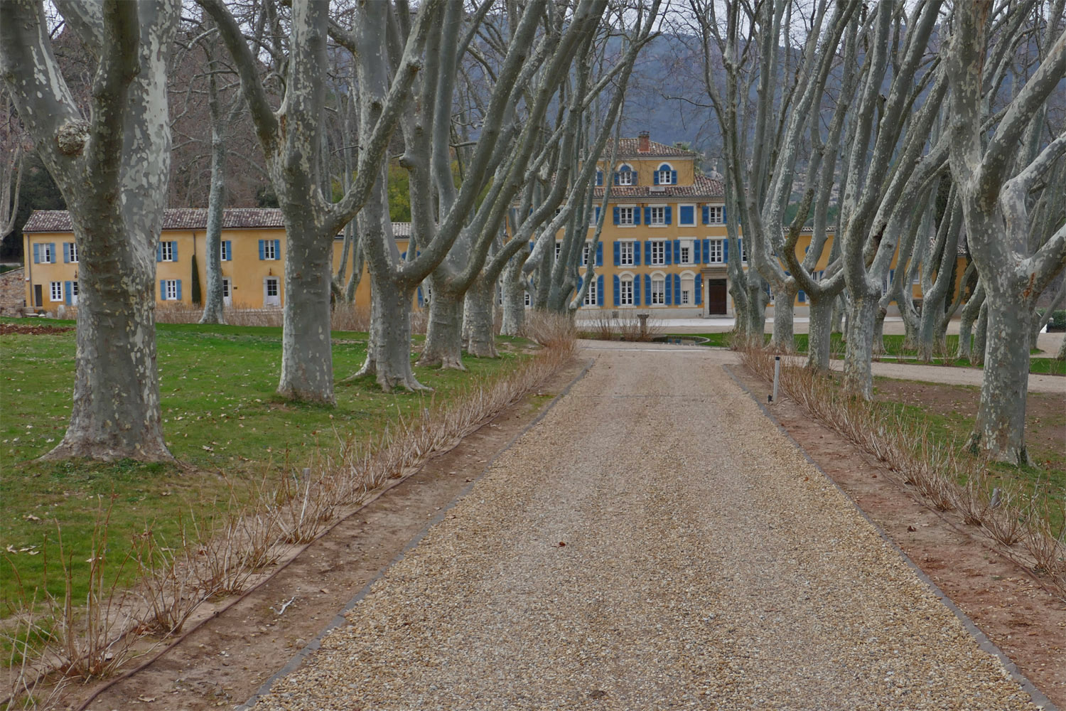 IS ROSÉ A SERIOUS WINE? LVMH INVESTMENT IN CHÂTEAU D'ESCLANS