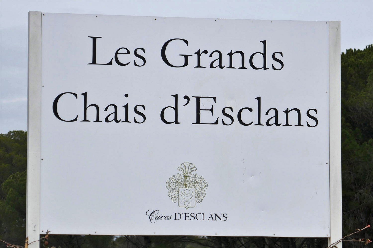 IS ROSÉ A SERIOUS WINE? LVMH INVESTMENT IN CHÂTEAU D'ESCLANS