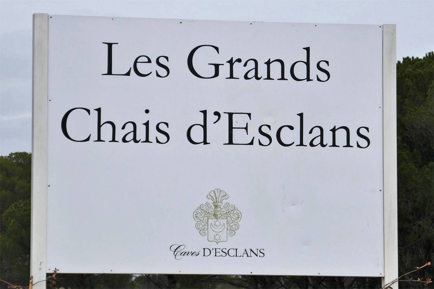 IS ROSÉ A SERIOUS WINE? LVMH INVESTMENT IN CHÂTEAU D'ESCLANS SUGGESTS IT  CAN BE - Provence WineZine