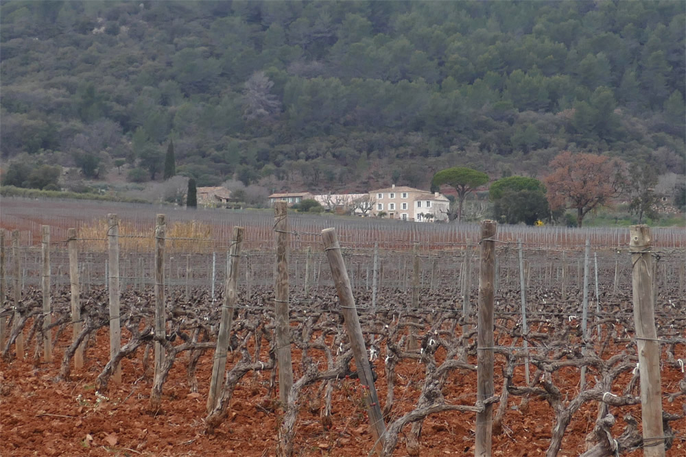 IS ROSÉ A SERIOUS WINE? LVMH INVESTMENT IN CHÂTEAU D'ESCLANS