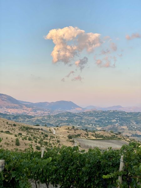 di giovanna uitzicht wijnhuis Sicilië
