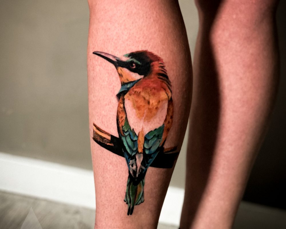 Realistic colourful bird leg piece