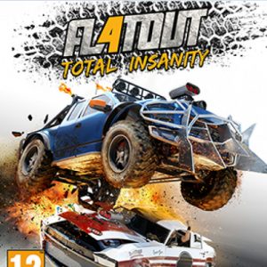 PlayStation 4 | Gebruikt | Flatout 4: Total Insanity