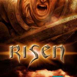 Nintendo Switch | Gebruikt | Risen