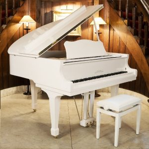 Digitale vleugels | Oostendorp Digital Classic Grand Elite III PWH chroom