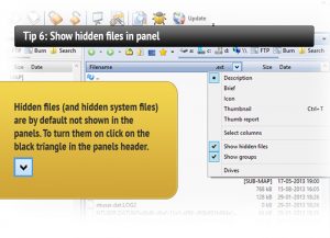 Tip 6: Show hidden files in panel