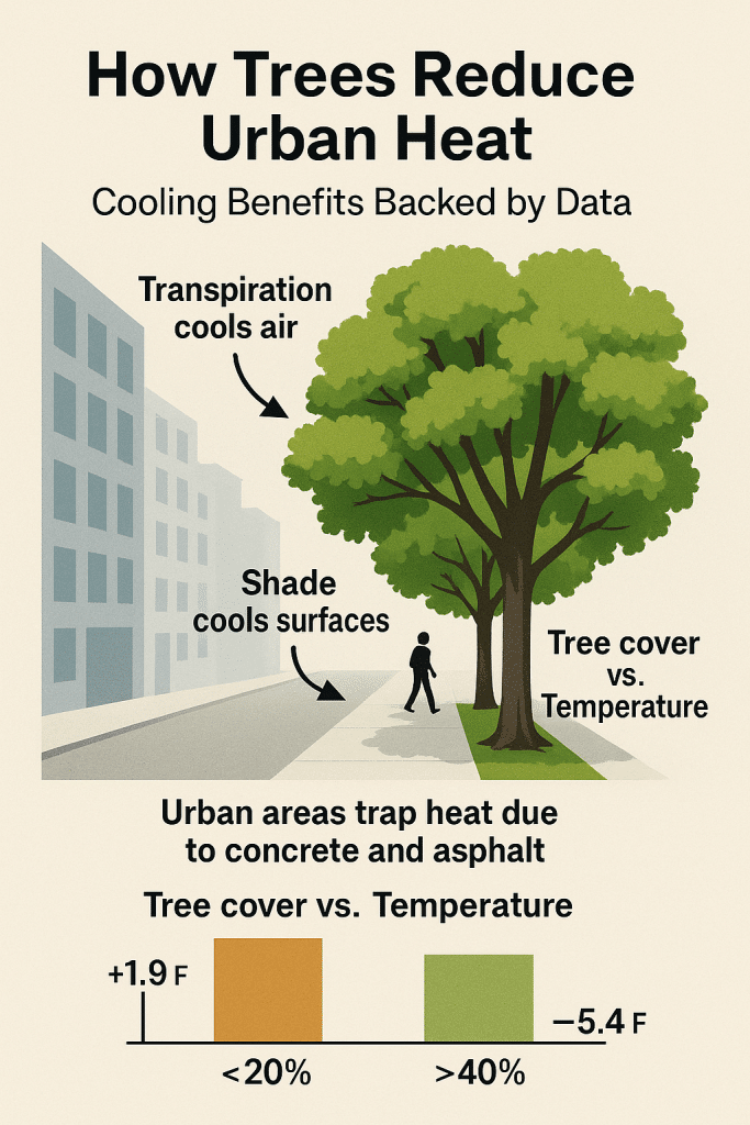 How Trees Reduce Urban Heat: Cooling Benefits Backed by Data 1 How Trees Reduce Urban Heat: Cooling Benefits Backed by Data