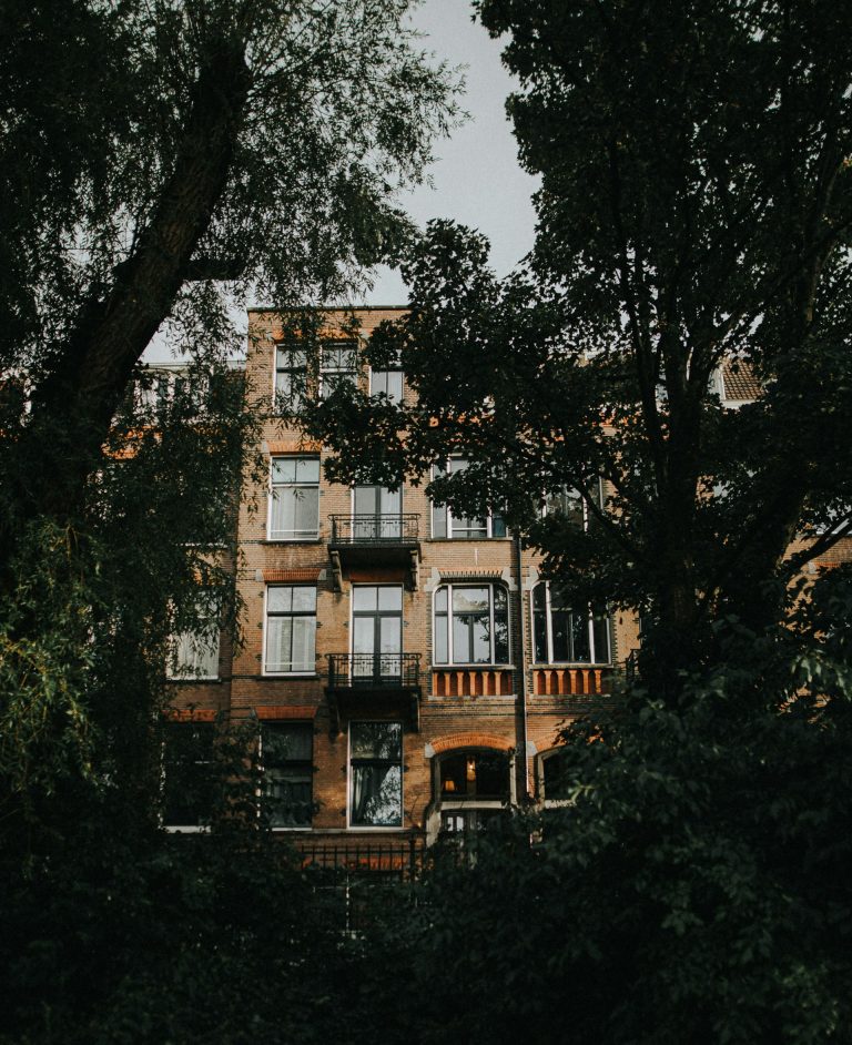 Why are Trees Absolutely Your Best Natural Airco?