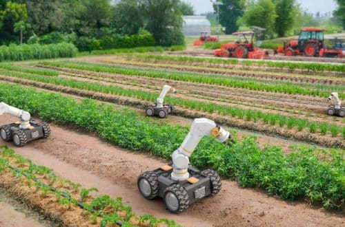 Sustainability News, the Future of Eco-Conscious Living 25