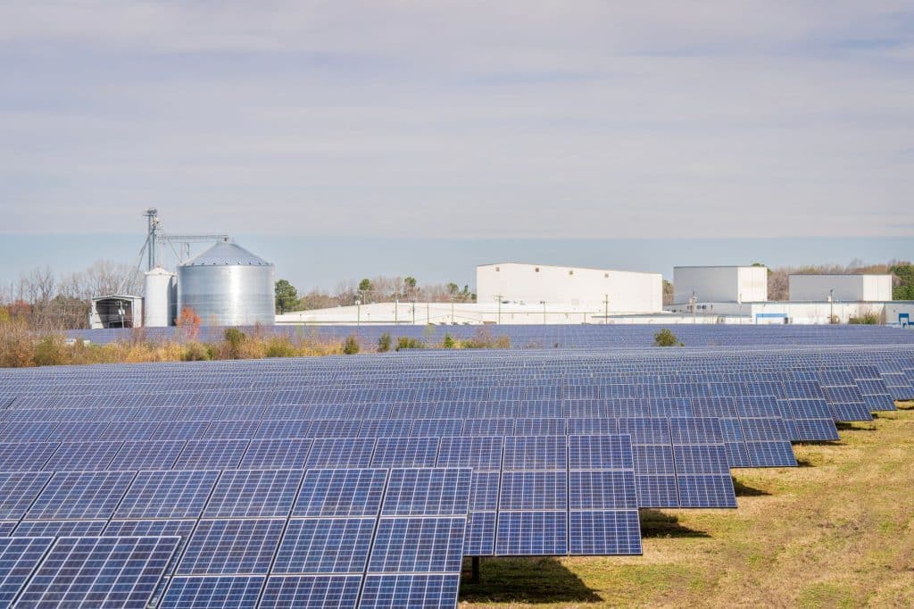 Ground-mounted solar panels on farmland, representing the South Korea solar tender of 1 GW under the Renewable Portfolio Standard