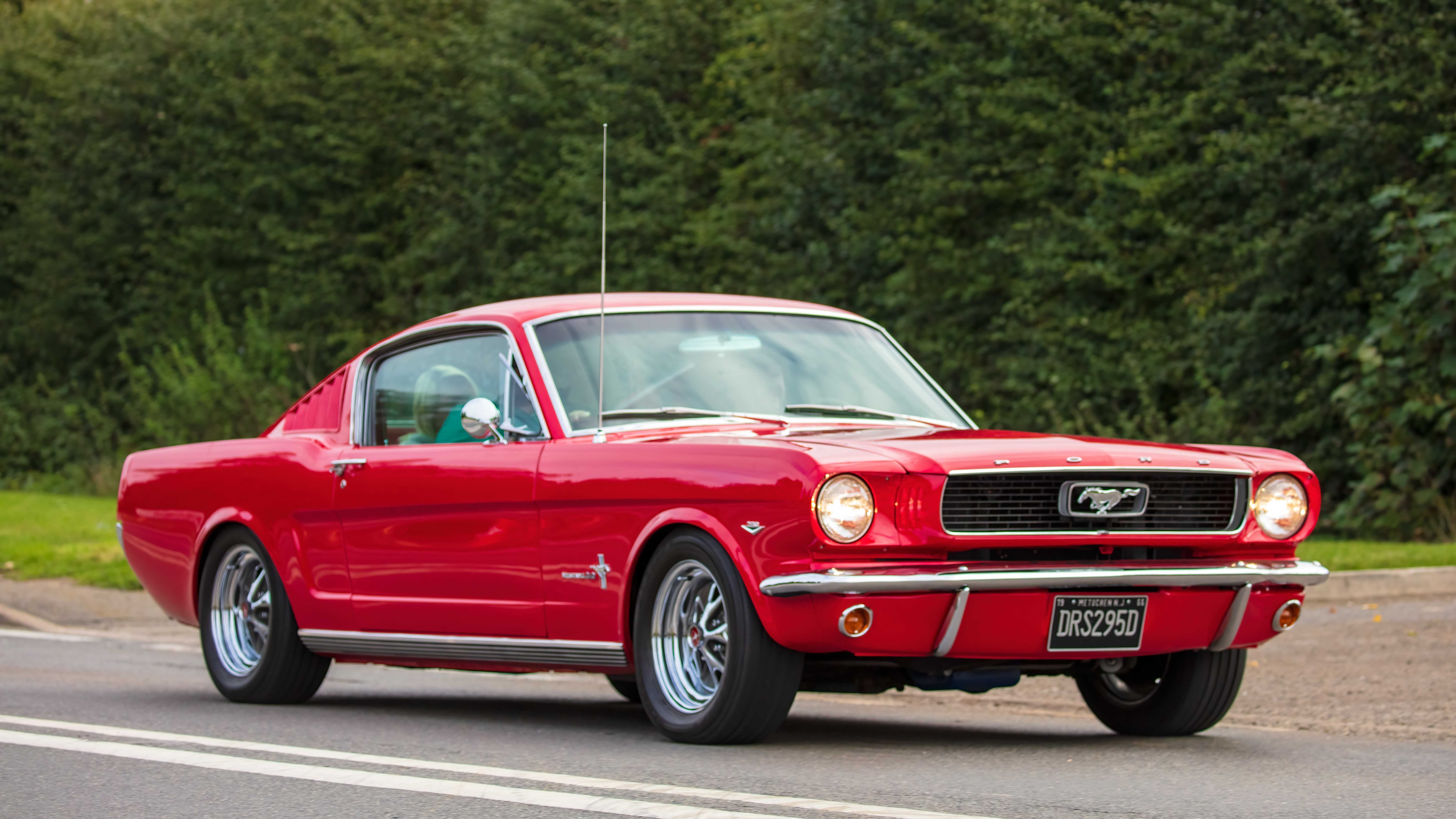 The Mustang, albeit an earlier model, is also sworn by as a fantastic affordable find