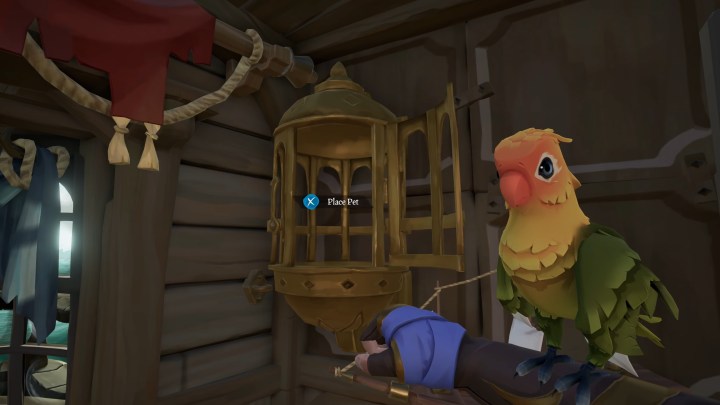 A parrot in Sea of Thieves.