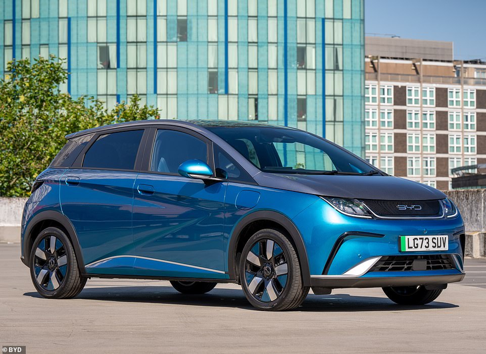 BYD is the biggest EV maker in the world - it sold more battery cars than Tesla in the last three months of 2023. Of the three models currently sold in the UK, the Dolphin (pictured) is cheapest