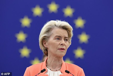 European Commission president Ursula von der Leyen (pictured) in September announced a probe into the Chinese car market amid growing concerns about import numbers