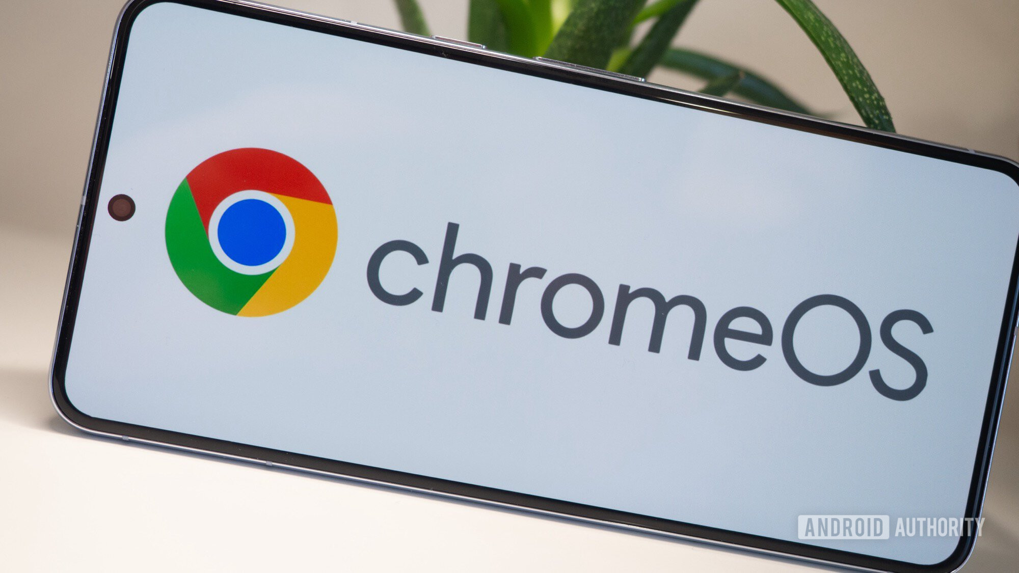 chrome os logo google pixel 8 pro 1