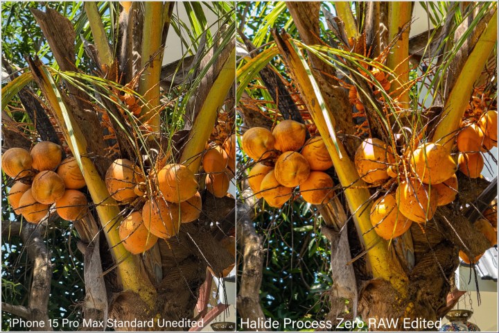 Comparison images clicked by stock iPhone and Halide Process Zero Camera sample 9.