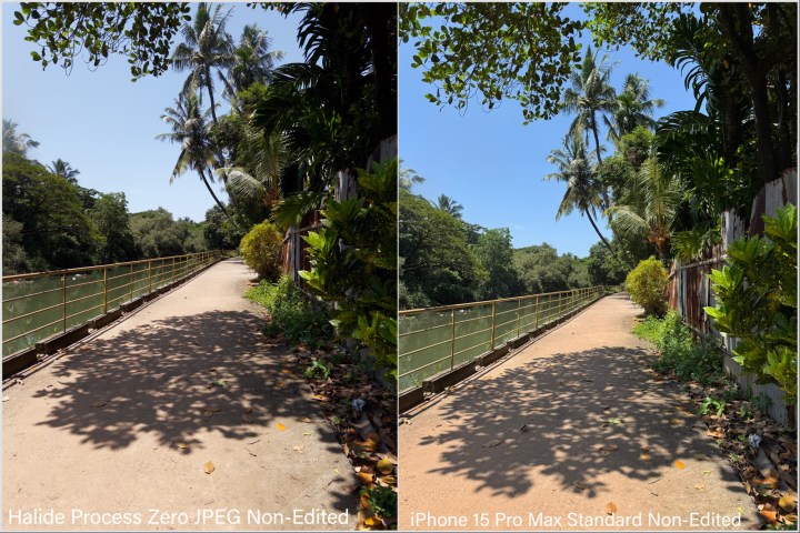 Comparison images clicked by stock iPhone and Halide Process Zero Camera sample 1.