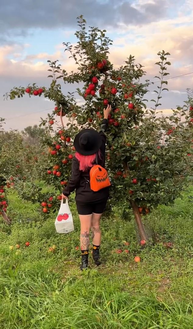 Beak and Skiff Apple Orchards offers 20 varieties of apple trees, and more than 15 different types of fresh apples