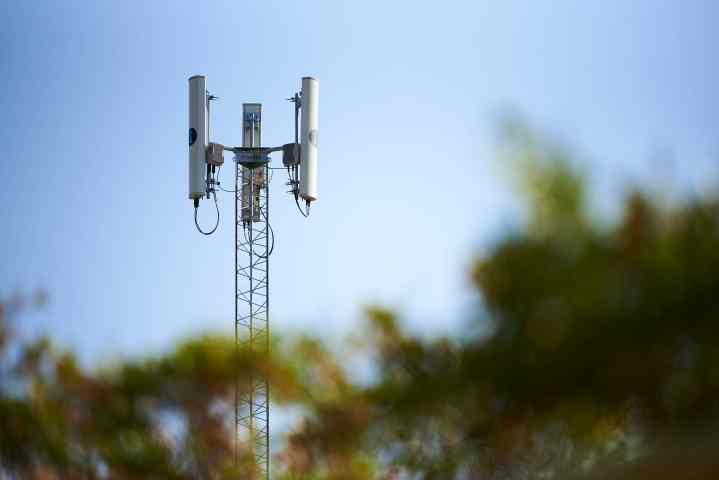 Looking through foliage at a 5G tower against a blue sky.