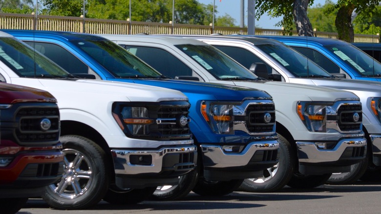 Ford F-150s in dealer lot