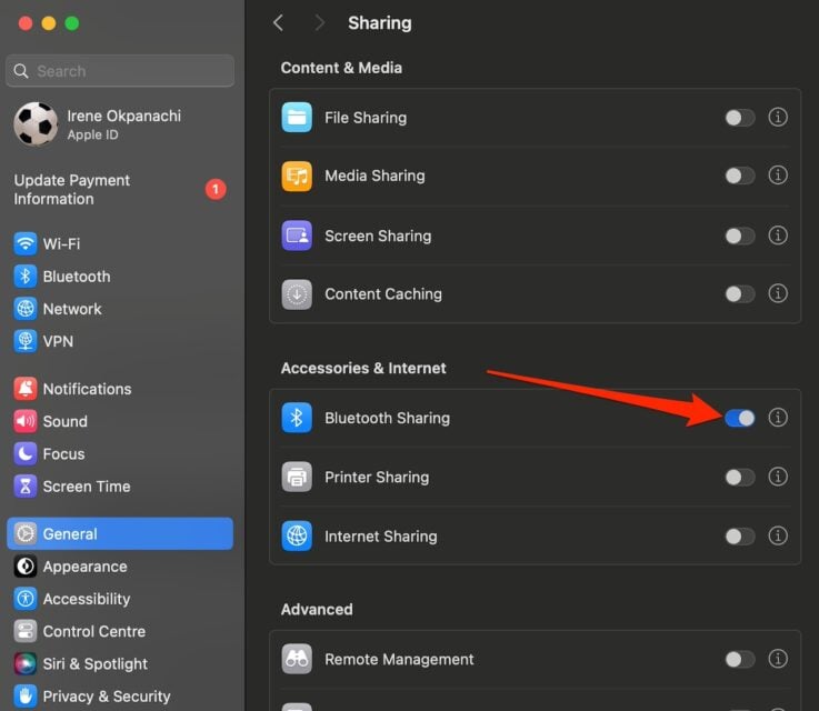 Enabling Bluetooth sharing on MacBook