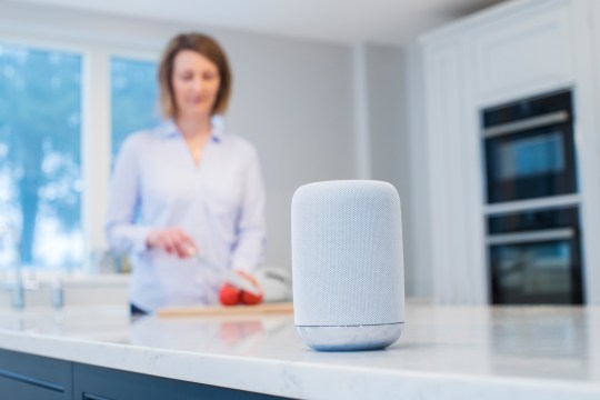 Woman Working In Kitchen With Smart Speaker In Foreground