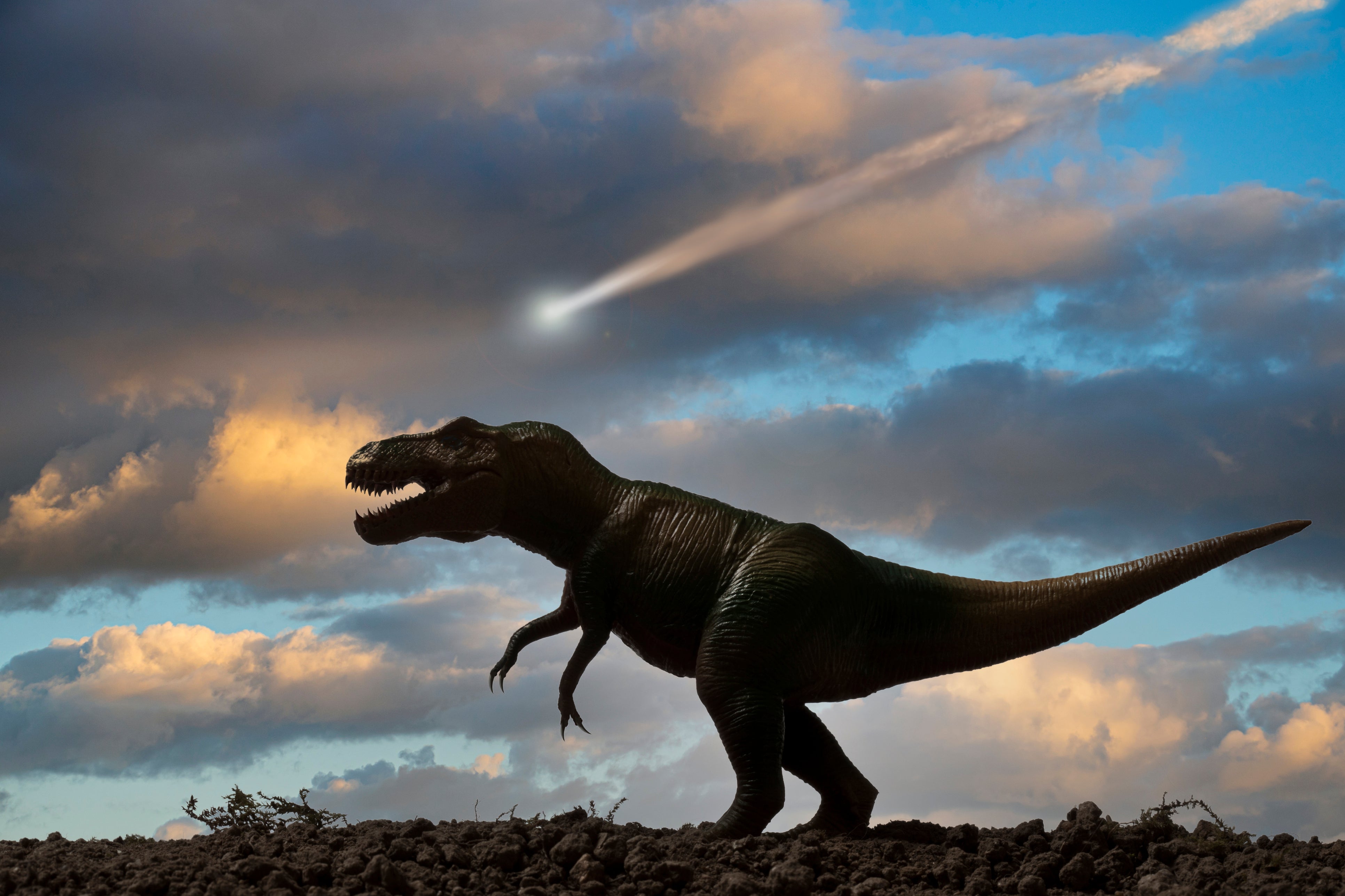 A fictional representation of Tyrannosaurus Rex with an asteroid falling from the sky in the background.