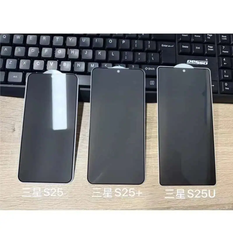 Samsung Galaxy S25 dummy units