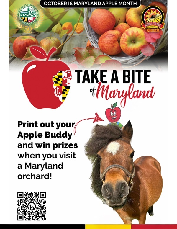 Maryland Apple Month Apple Buddy