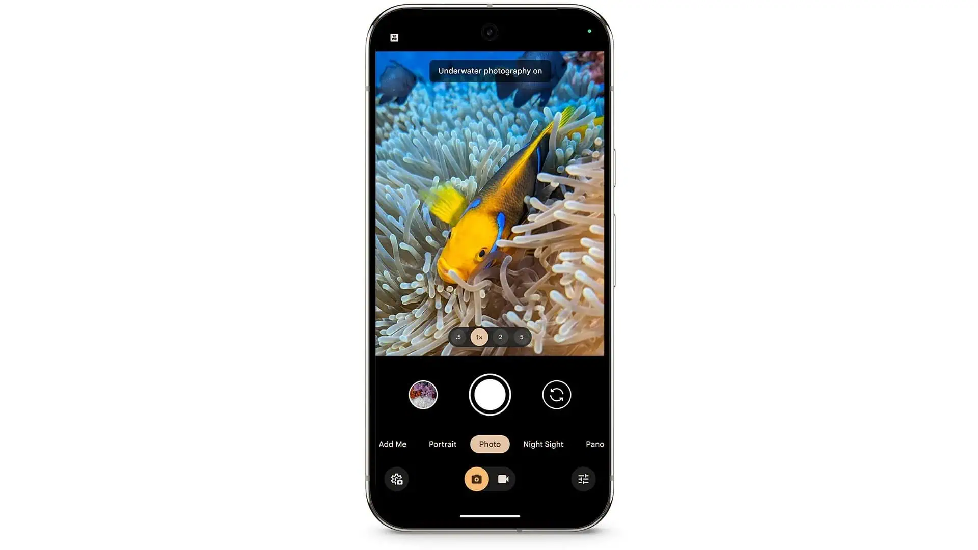 Google Pixel 9 Pro Underwater Photography